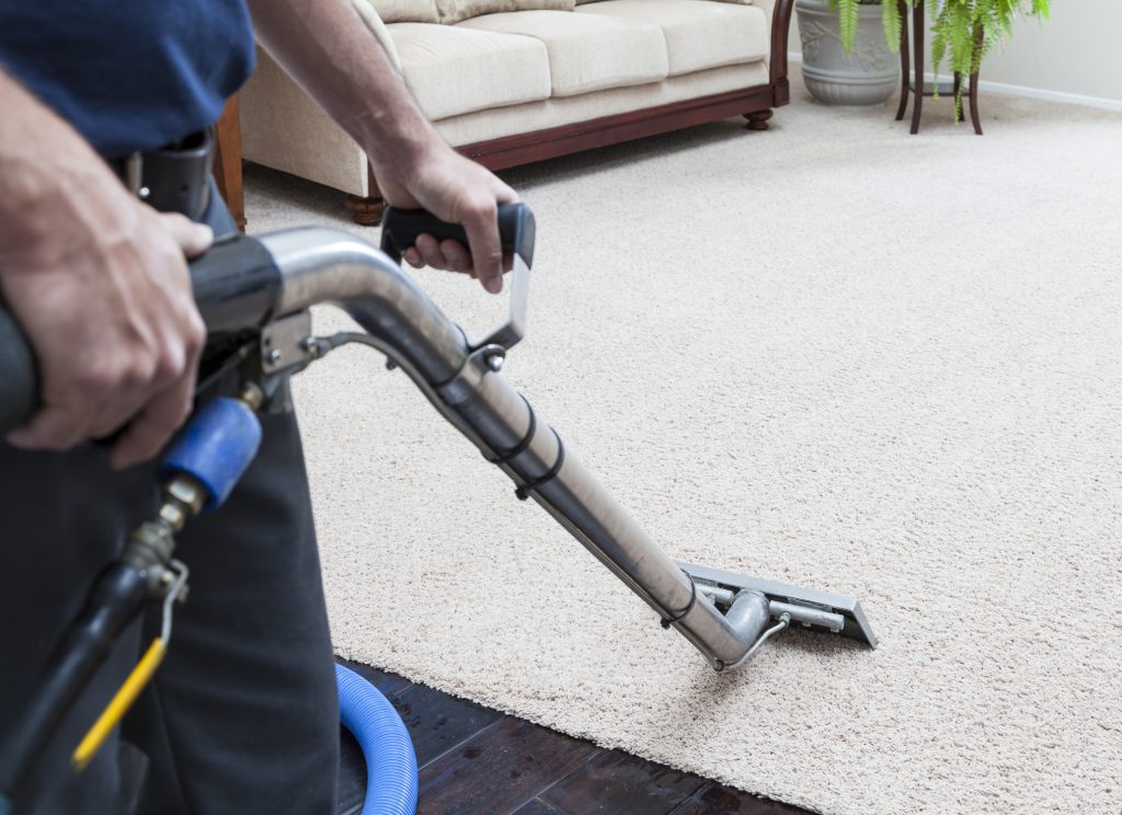 American carpet cleaning employee steam cleaning carpet