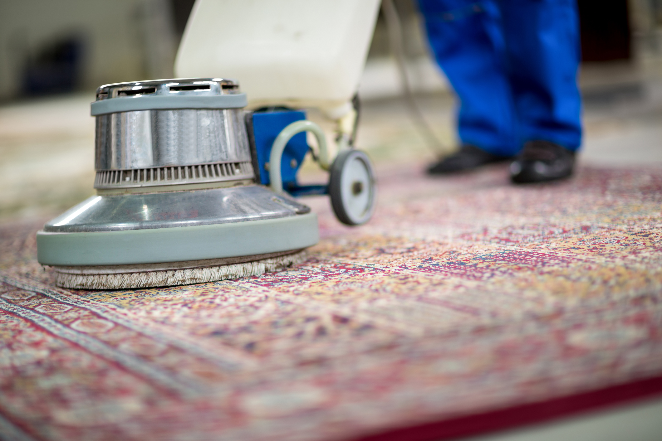 Close up of electrical vacuum cleaner on carpet