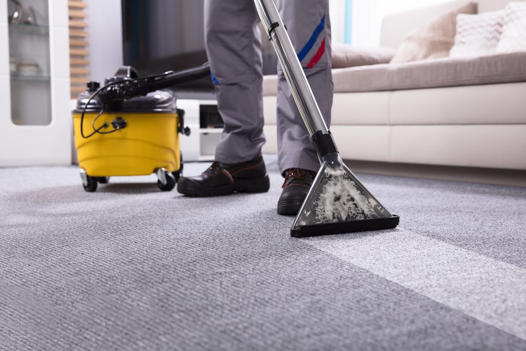 Team member cleaning living room carpet with vacuum cleaner